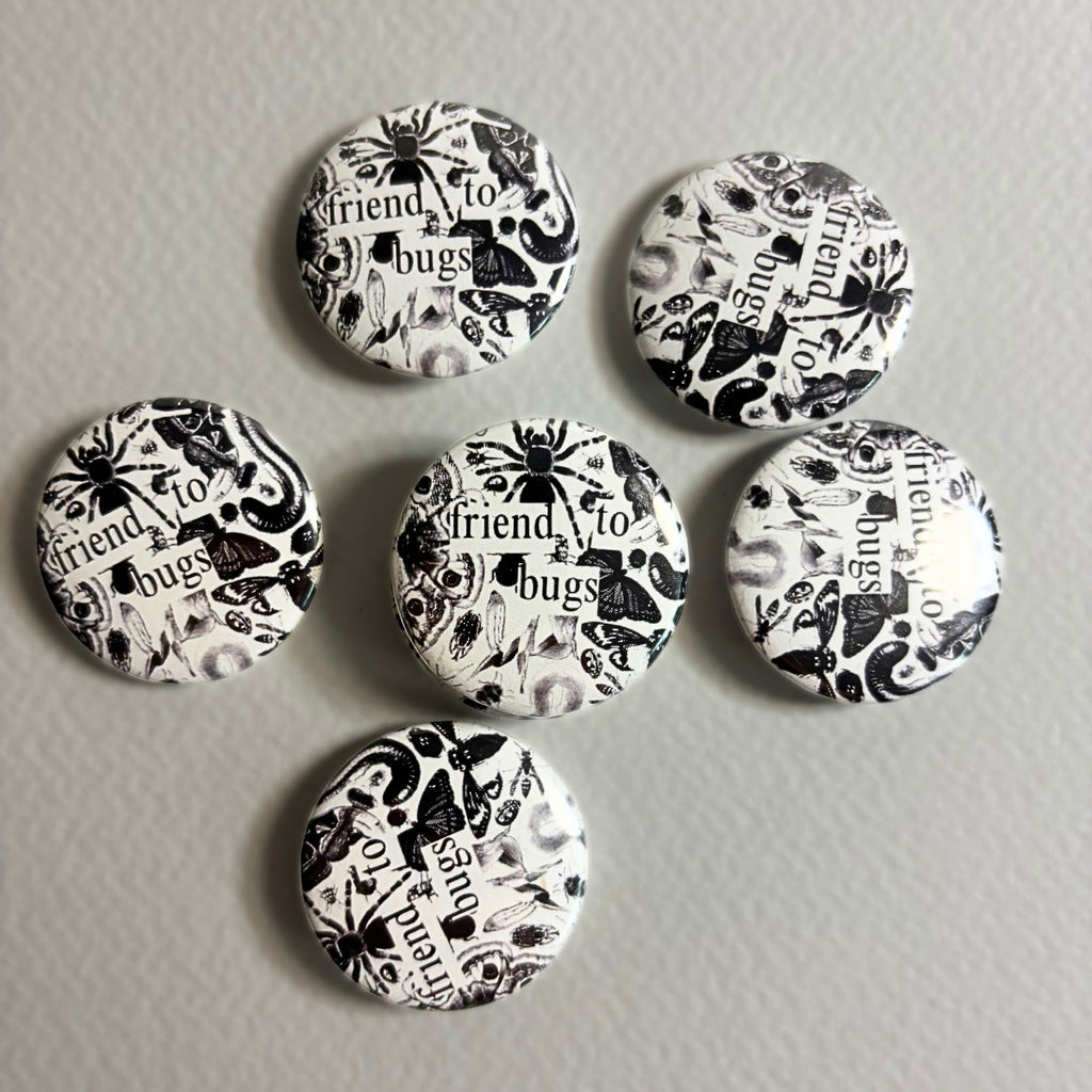 friend to bugs pin