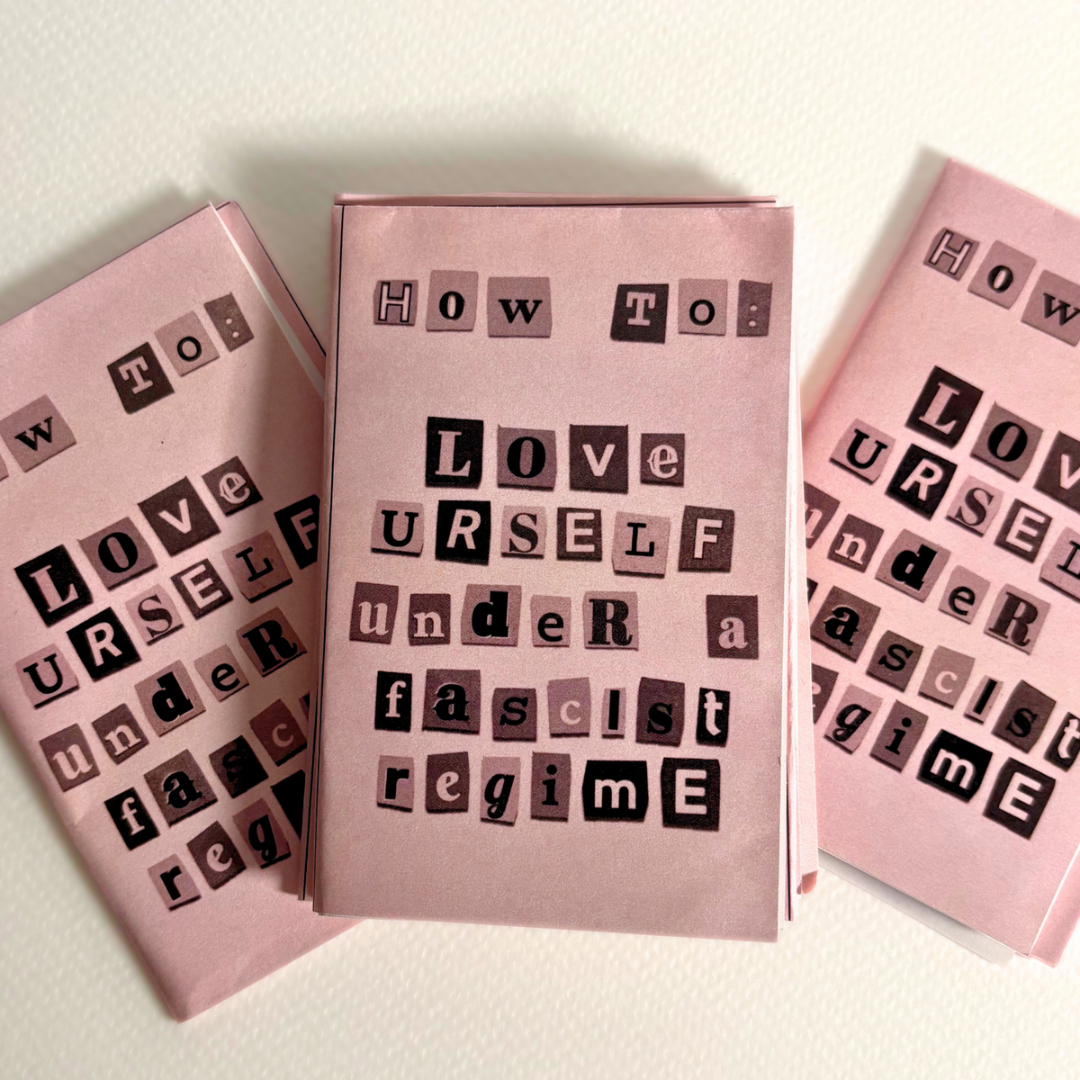 "how to love yourself under a fascist regime" zine