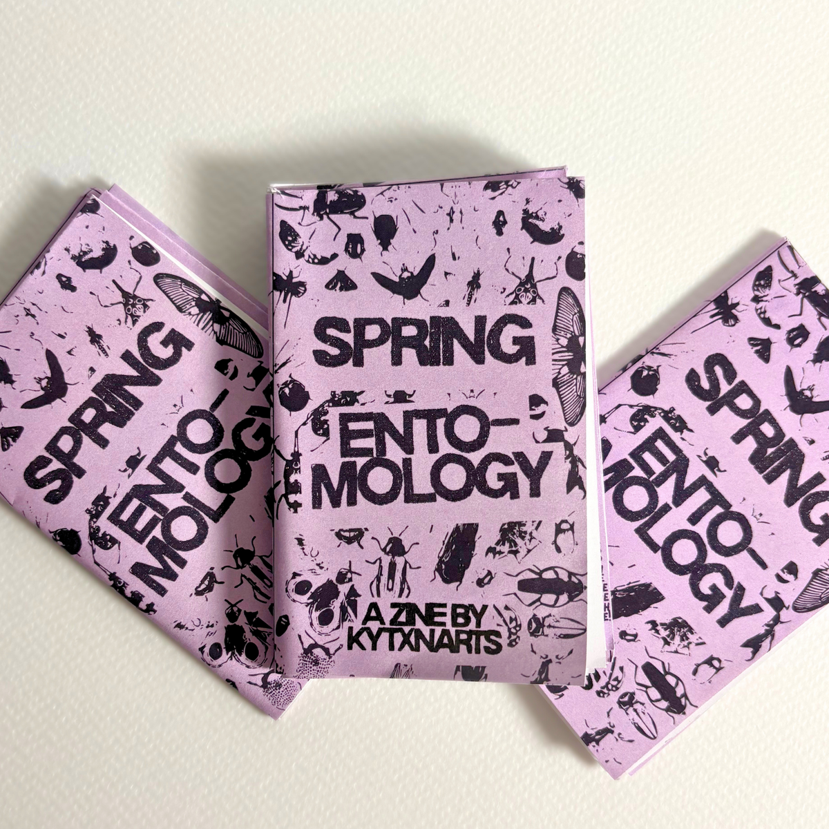 "spring entomolgy" zine