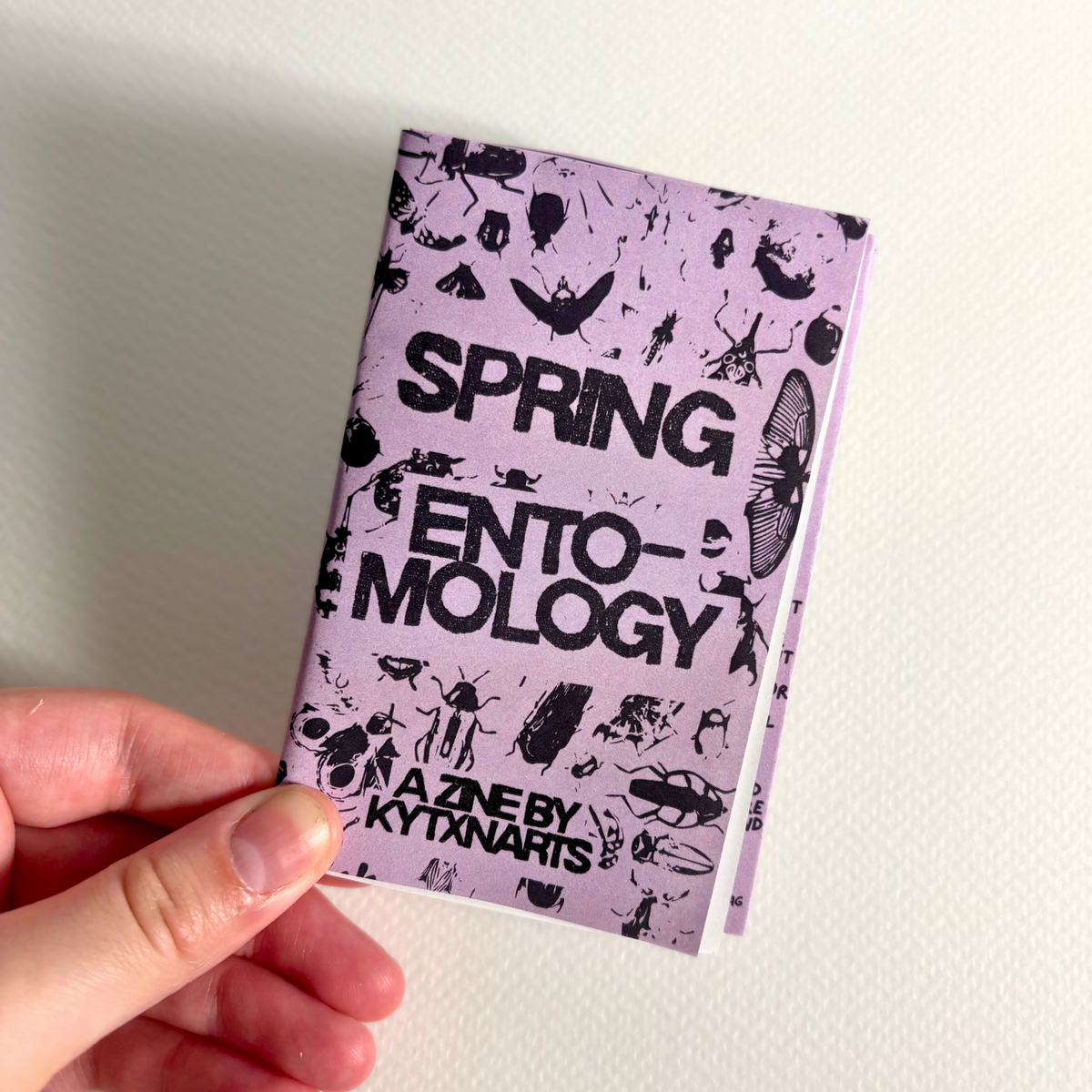 "spring entomolgy" zine