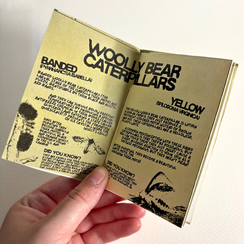 "fall entomology" zine