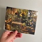 "this is how i see your soul: nature" zine