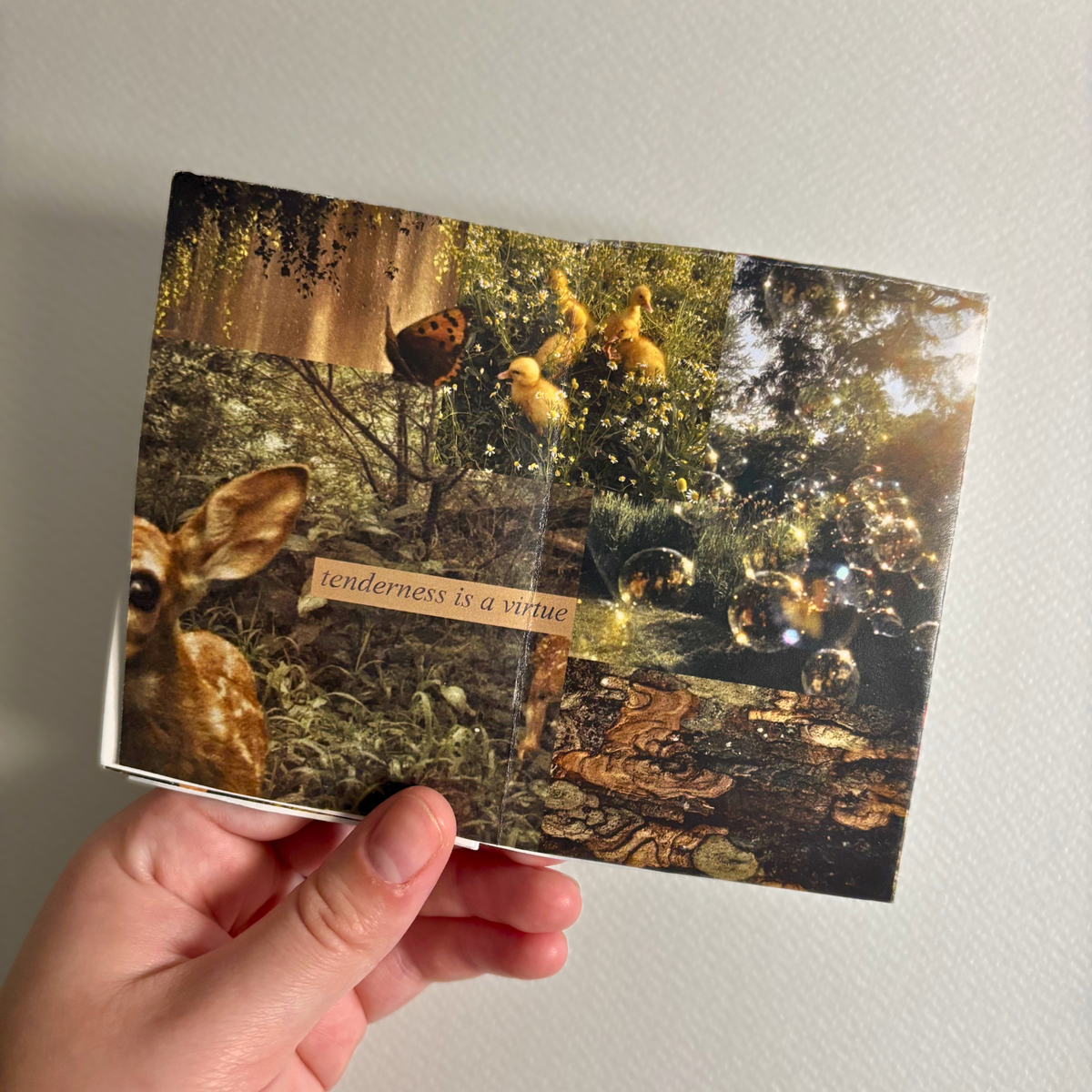"this is how i see your soul: nature" zine