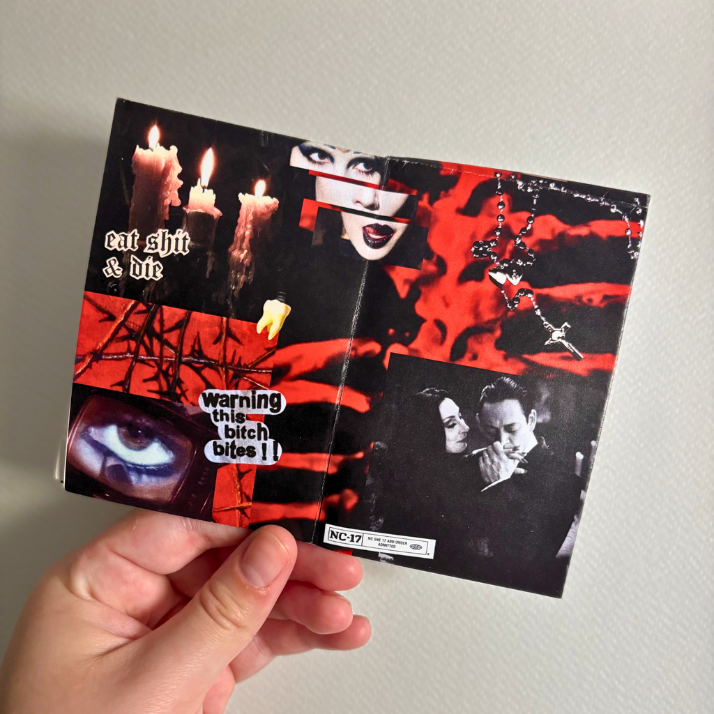 "this is how i see your soul: gothic" zine